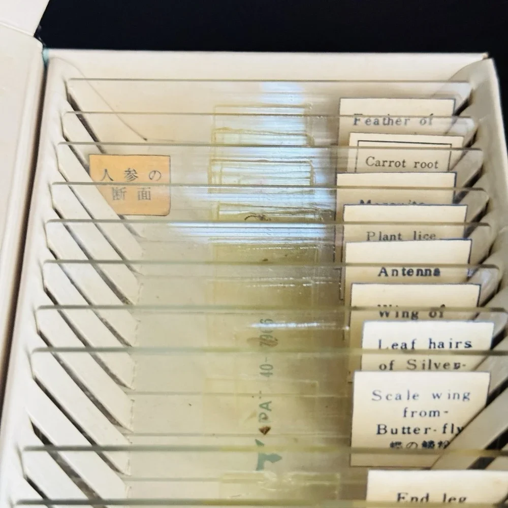 Vintage Japanese Prepared Microscope Slides– Mixed Plant / Animal Specimens 22pc